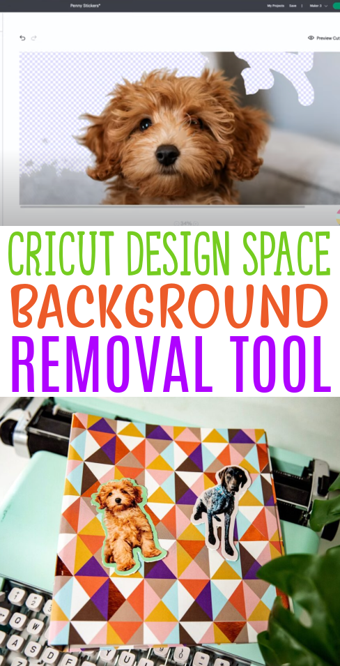 Cricut Design Space Background Removal Tool