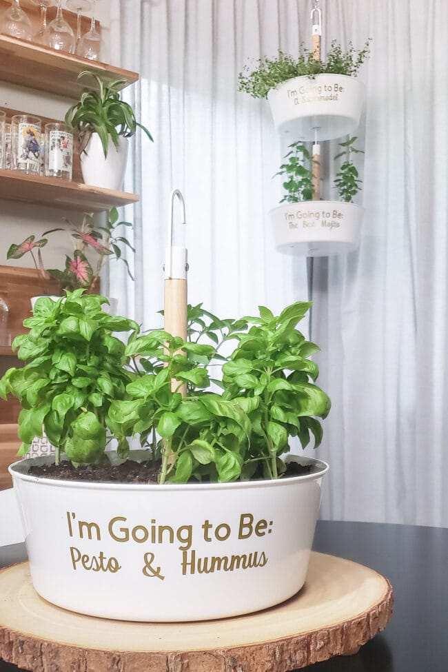 Personalized Herb Planters