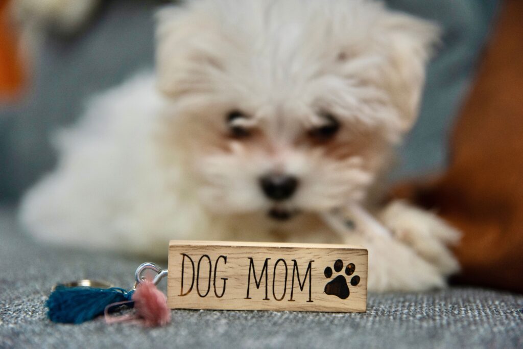 Dog Mom Keychain 2
