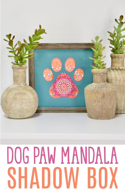 Dog Paw Mandala Shadow Box