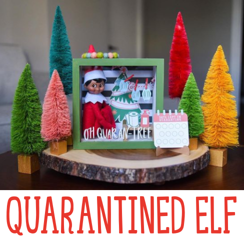 Quarantined Elf